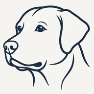 True Labrador Showcase