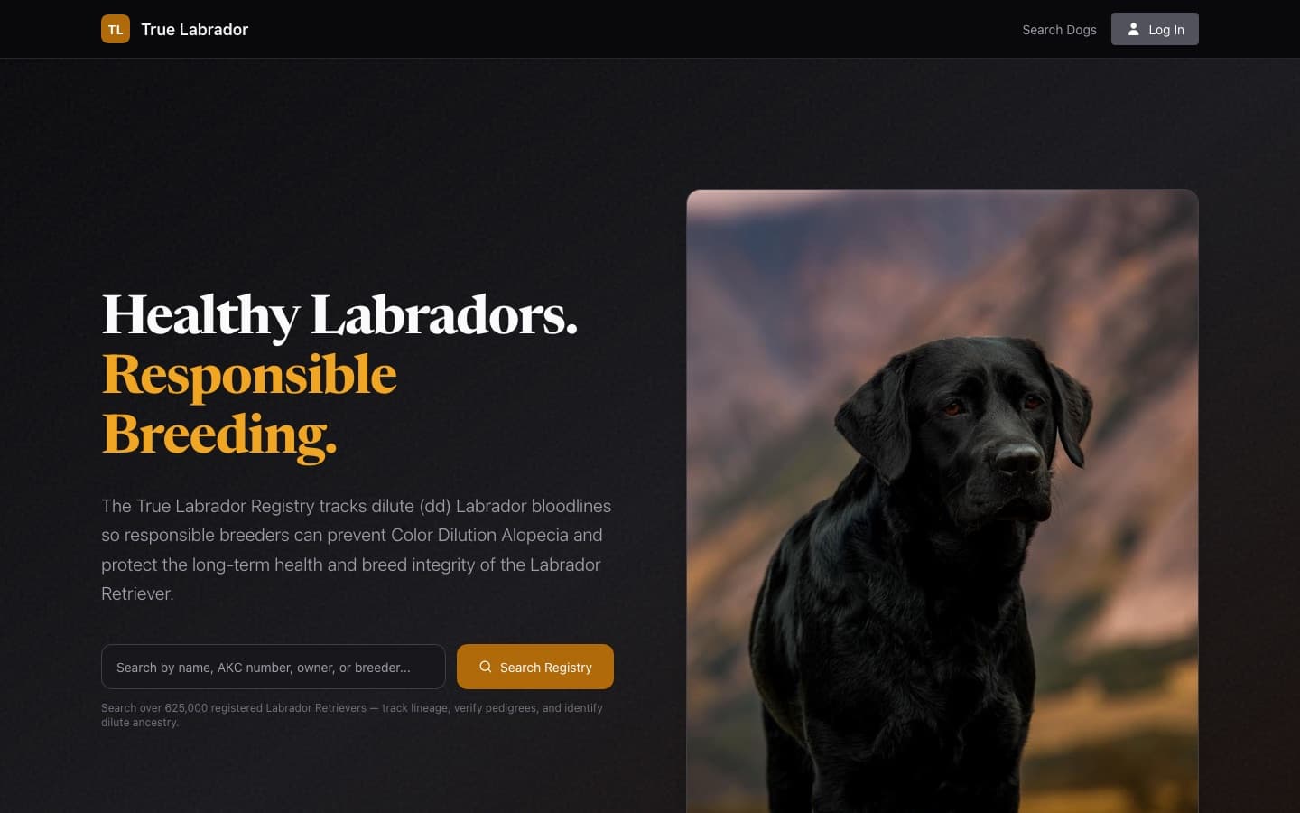 True Labrador Showcase